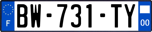 BW-731-TY