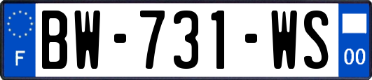 BW-731-WS