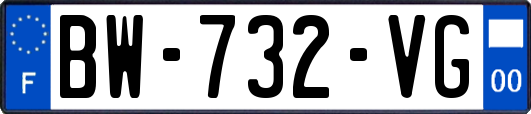 BW-732-VG