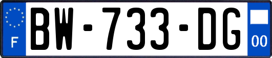 BW-733-DG