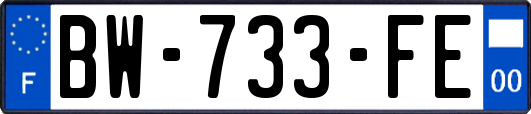 BW-733-FE