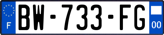 BW-733-FG