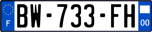 BW-733-FH