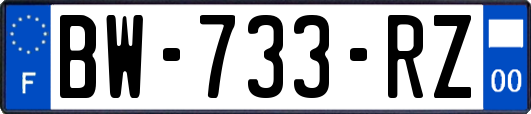 BW-733-RZ