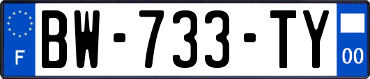 BW-733-TY