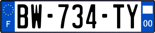 BW-734-TY