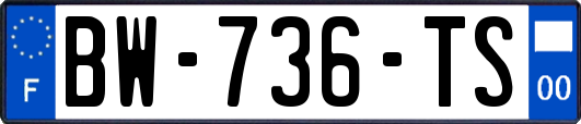 BW-736-TS