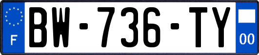 BW-736-TY