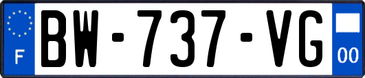 BW-737-VG