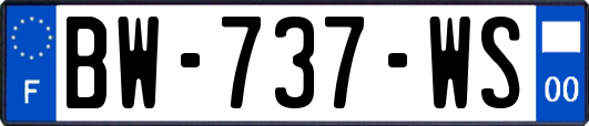 BW-737-WS