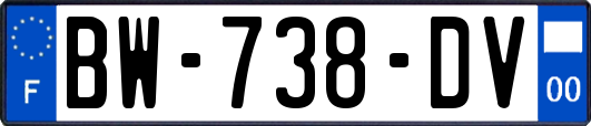 BW-738-DV