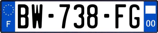 BW-738-FG