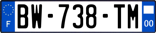 BW-738-TM