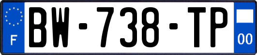 BW-738-TP