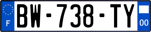 BW-738-TY
