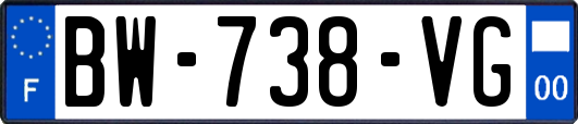 BW-738-VG