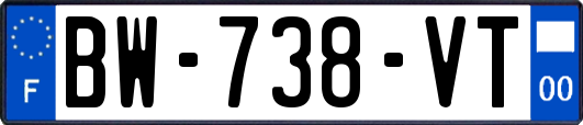 BW-738-VT