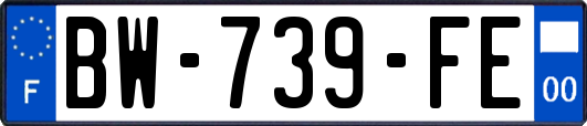 BW-739-FE