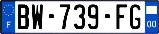 BW-739-FG