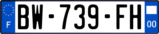 BW-739-FH