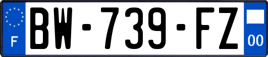 BW-739-FZ