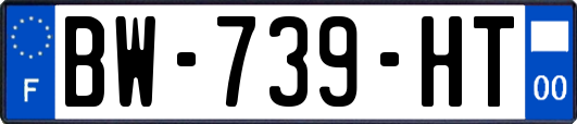 BW-739-HT