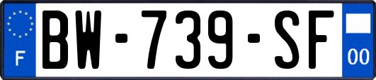 BW-739-SF