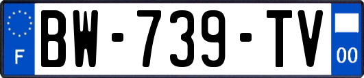 BW-739-TV