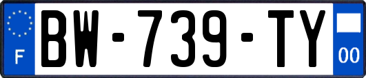 BW-739-TY