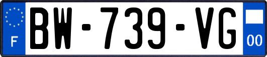 BW-739-VG