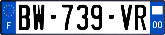 BW-739-VR