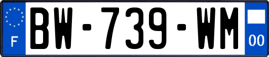 BW-739-WM