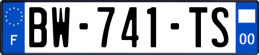BW-741-TS