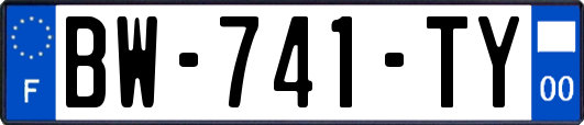 BW-741-TY