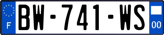 BW-741-WS