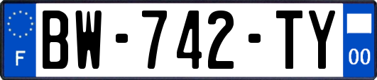 BW-742-TY