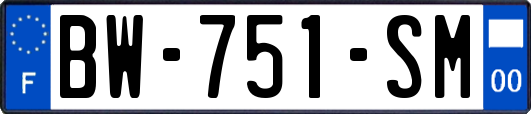 BW-751-SM