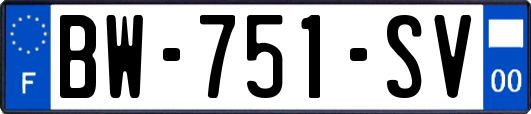 BW-751-SV