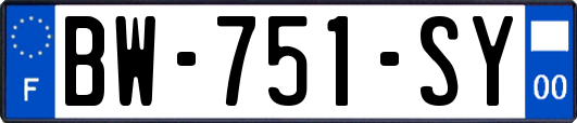 BW-751-SY