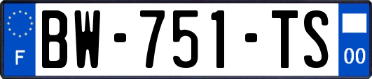 BW-751-TS