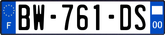 BW-761-DS