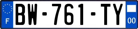 BW-761-TY