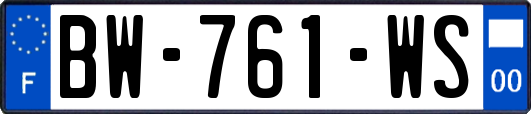 BW-761-WS