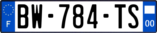 BW-784-TS