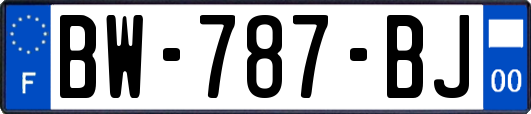 BW-787-BJ