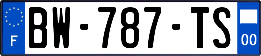 BW-787-TS
