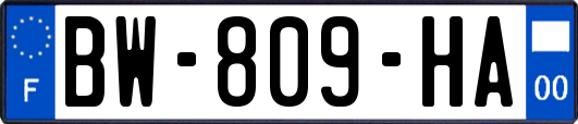 BW-809-HA