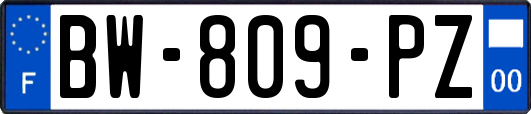 BW-809-PZ