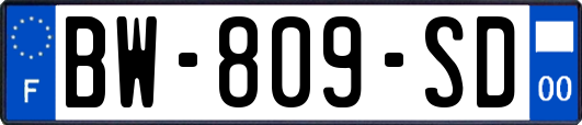 BW-809-SD