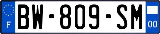 BW-809-SM